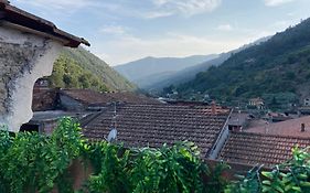 Casa Gaia, La Casa Sui Tetti